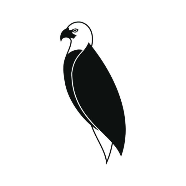 aigle 01