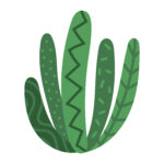 Vignette Cactus 05