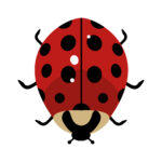 Vignette Coccinelle copie