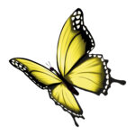 Vignette Papillon Jaune