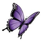 Vignette Papillon Violet