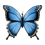 Vignette Papillon copie 2