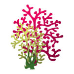 Vignette Plante Marine 4