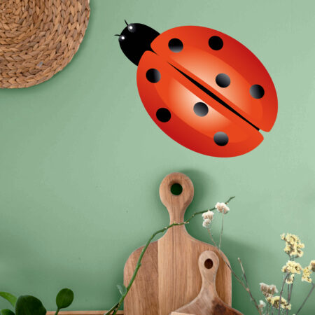 Vignette Coccinelle