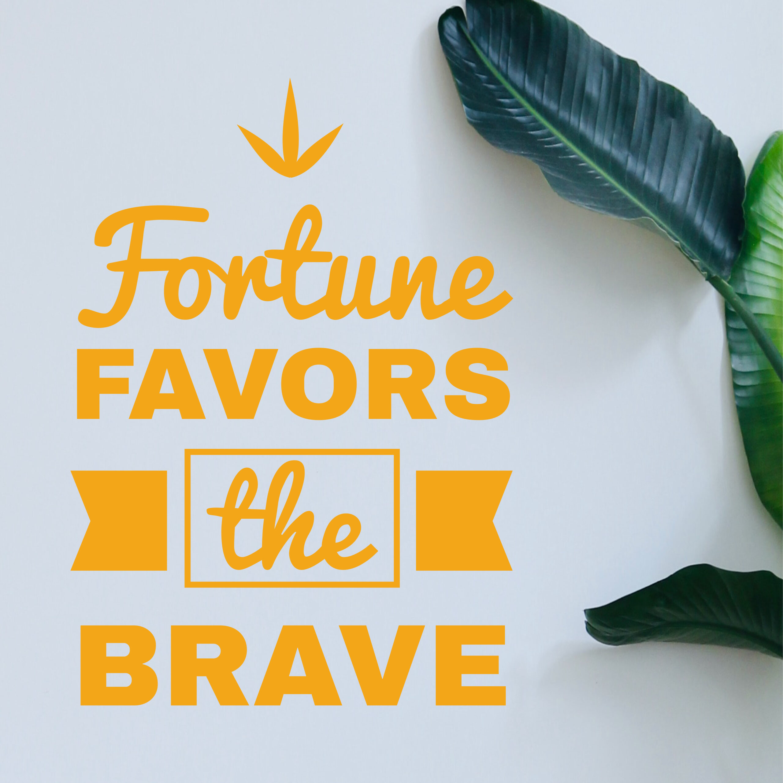 Vignette Fortune Favors Vignette Fortune Favors