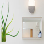 Vignette Plante Marine 2