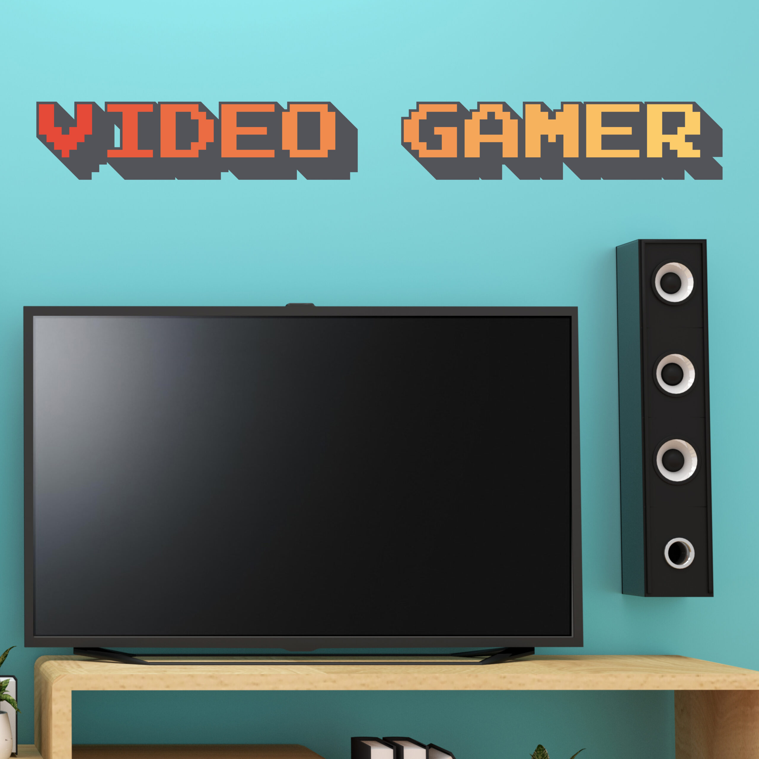 Vignette Video Gamer Vignette Video Gamer