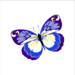vignette copie 4