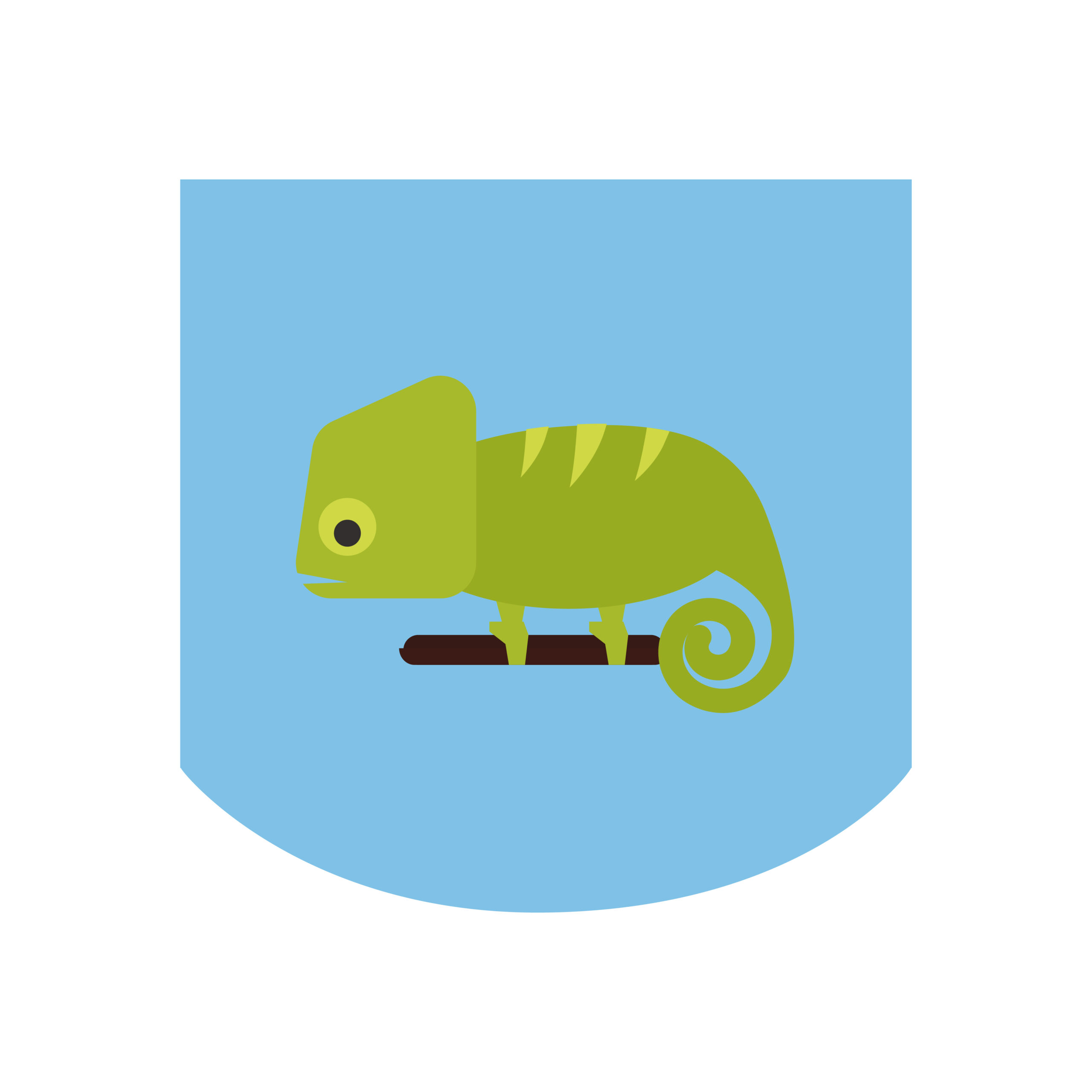 écusson caméléon écusson caméléon