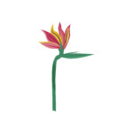 vignette fleurs3