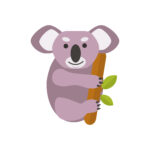vignette koala