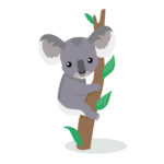 vignette koala copie