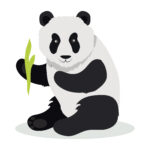 vignette panda copie