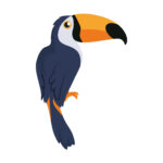 vignette toucan