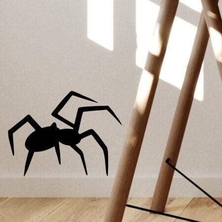 vignette araignée2
