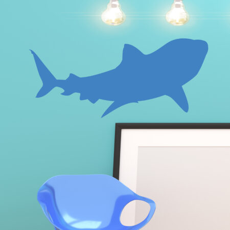 vignette requin