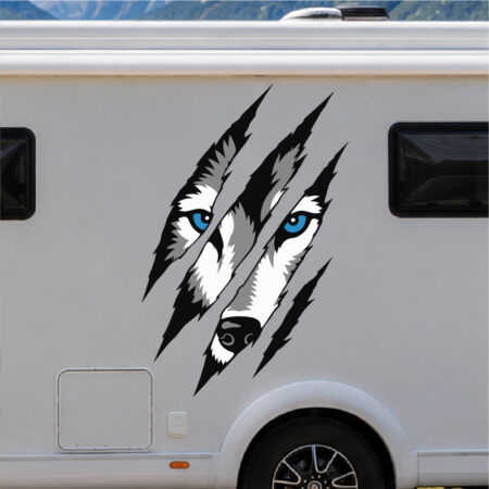 Sticker représentant un visage de loup visible à travers des griffures déchirant la surface